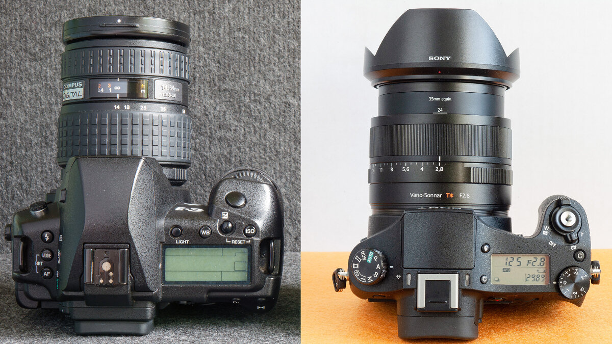 Olympus E-3 и Sony RX10