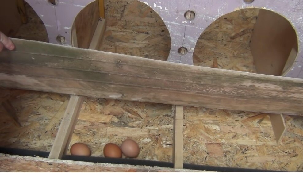 Куриные гнёзда