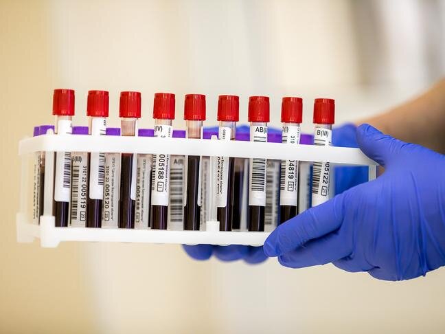 Фото: Павел Колядин (архив)