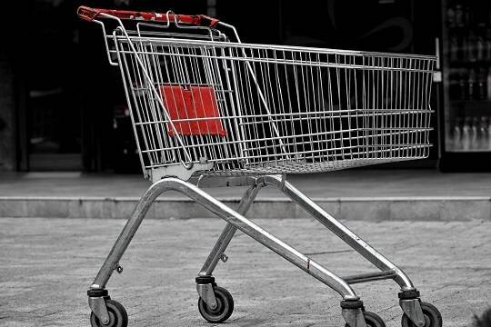    Российские власти поддержали идею приравнять продукты с надписями «зеленый», «эко» и «био» к органическим