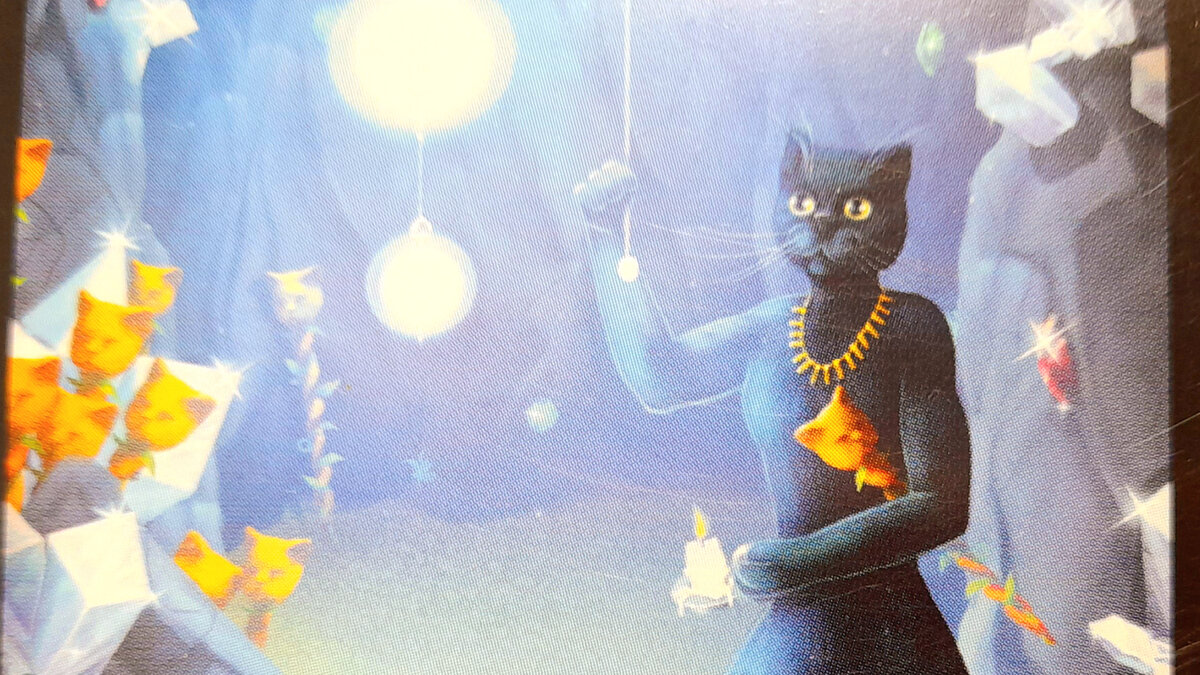 Кот в поиске