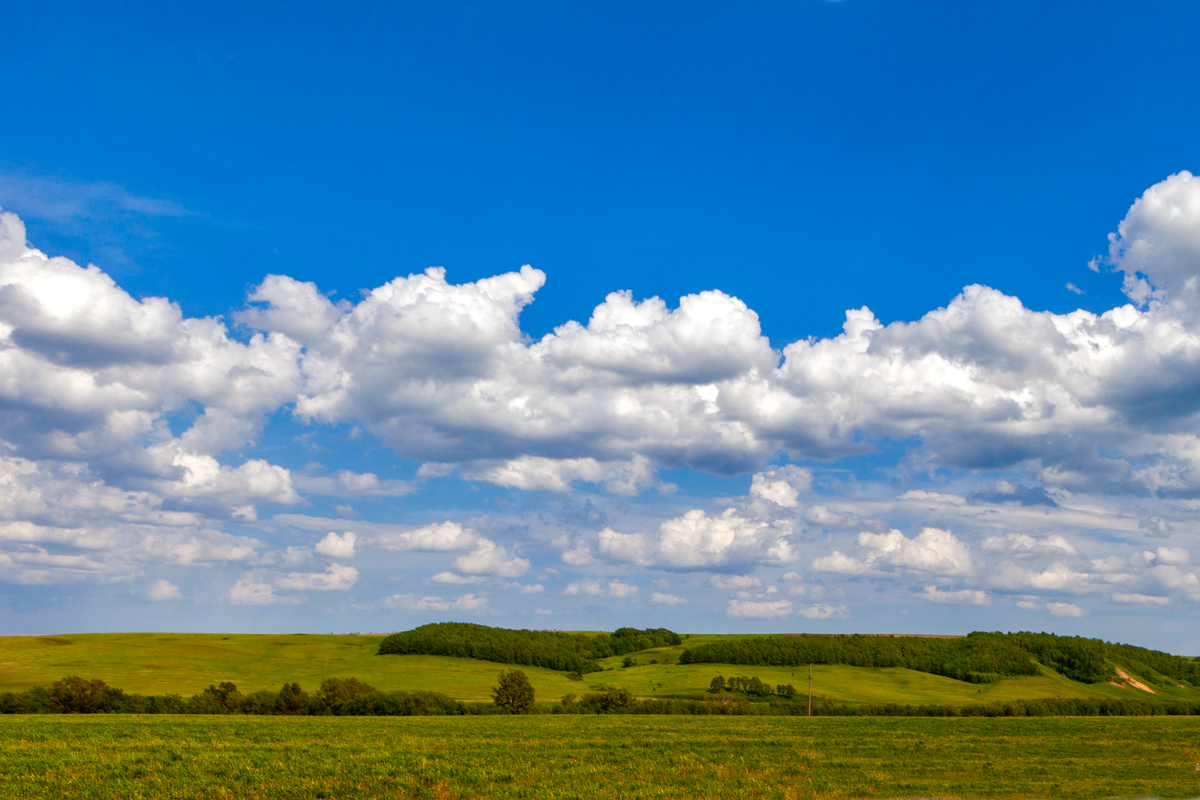 Изображение автора