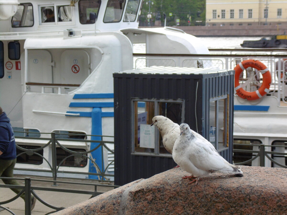 Фото автора