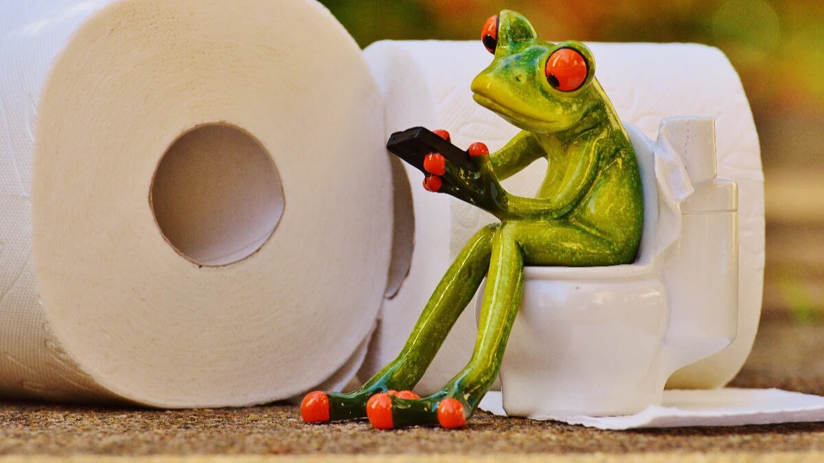 Что нужно знать о мочеиспускании при походе в туалет. Фото: www.piqsels.com