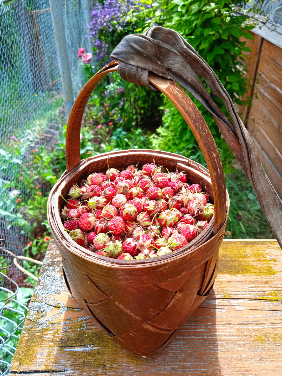 Спелые, душистые ягодки