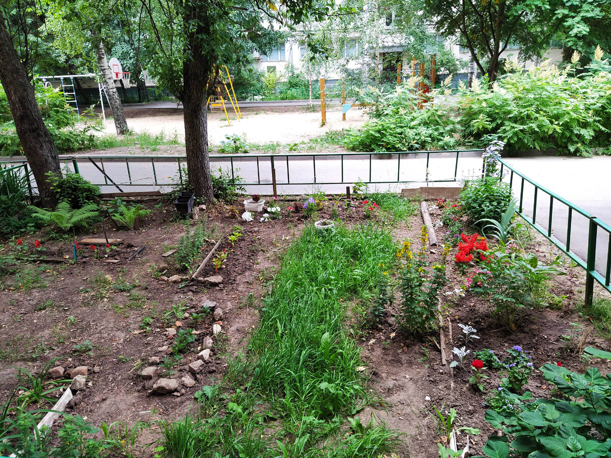 Палисадник № 1. Листайте 