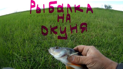 Рыбалка. Окунь на тубе 01.07.23