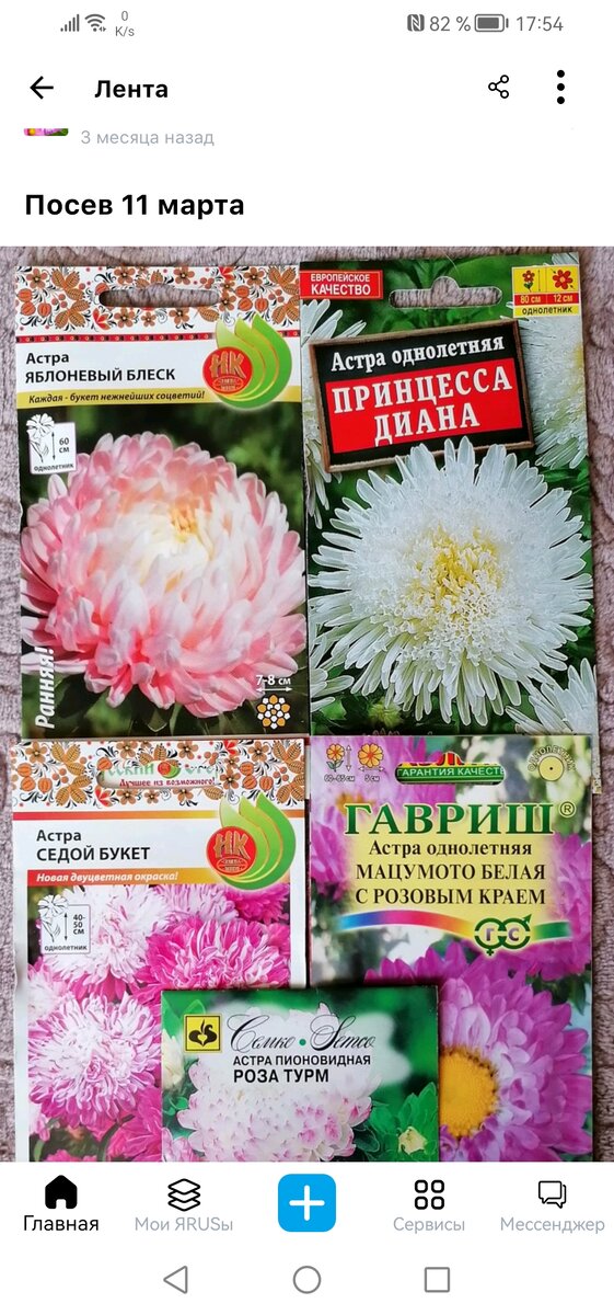 Личные фото автора