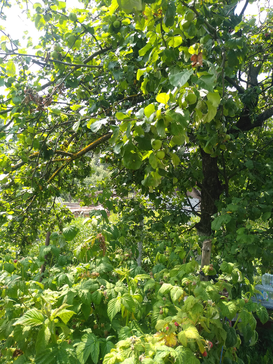 Фото из галереи канала Anna Seton. Подмосковье.