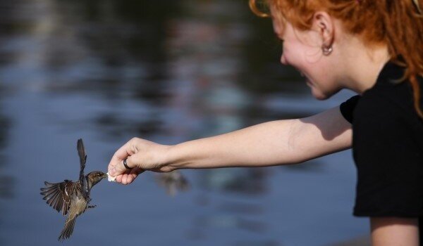 фото: РИА Новости/Александр Кряжев