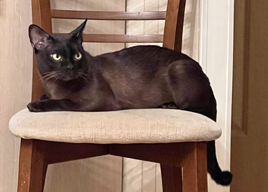 CH Richy from Ladoga Coast 