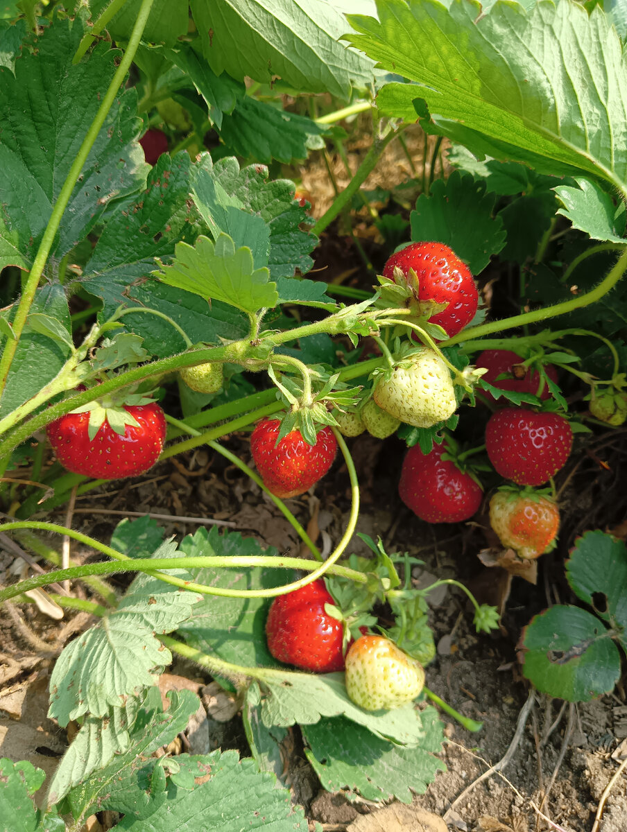 Фото автора. Первая "волна".