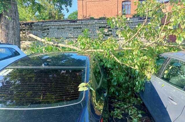    Фото: Из архива/ группа Вк