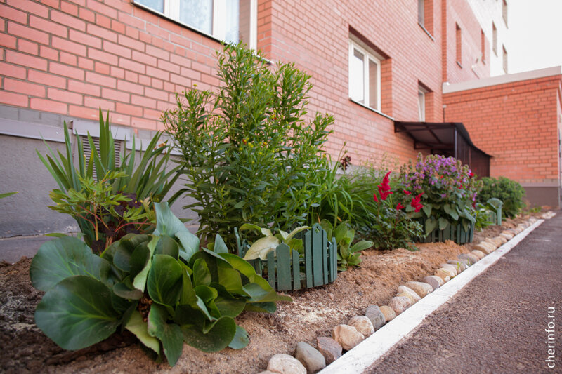    Сегодня конкурсная комиссия осмотрела клумбы первых участников.