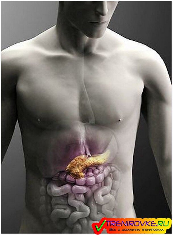 оджелудочная железа и диета