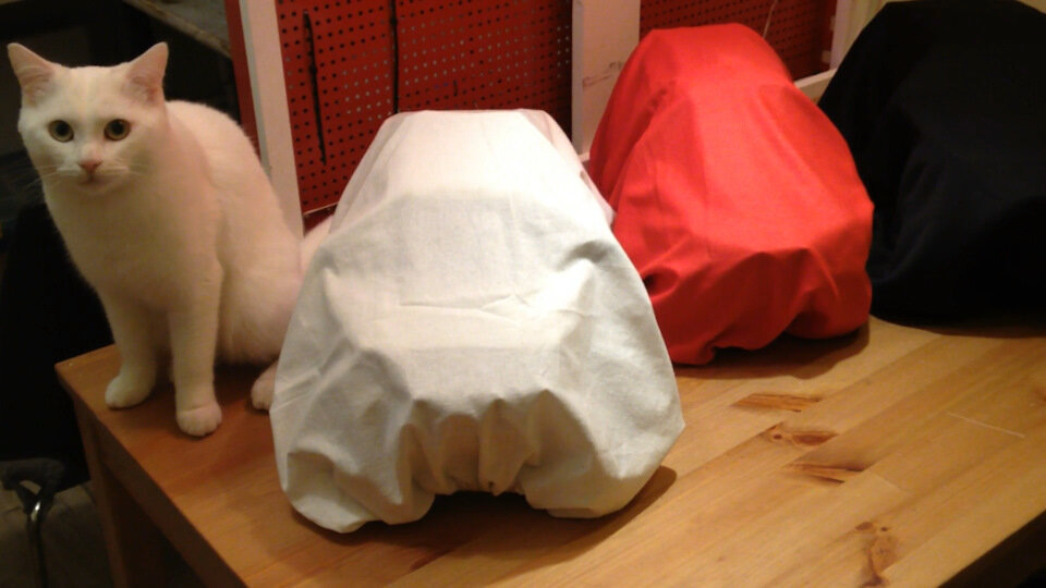 Менеджер на презентации чехлов :)