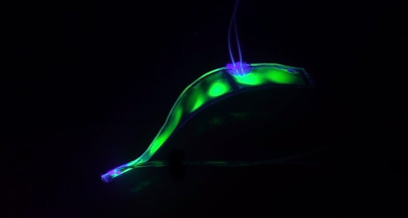  UC San Diego Jacobs School of Engineering