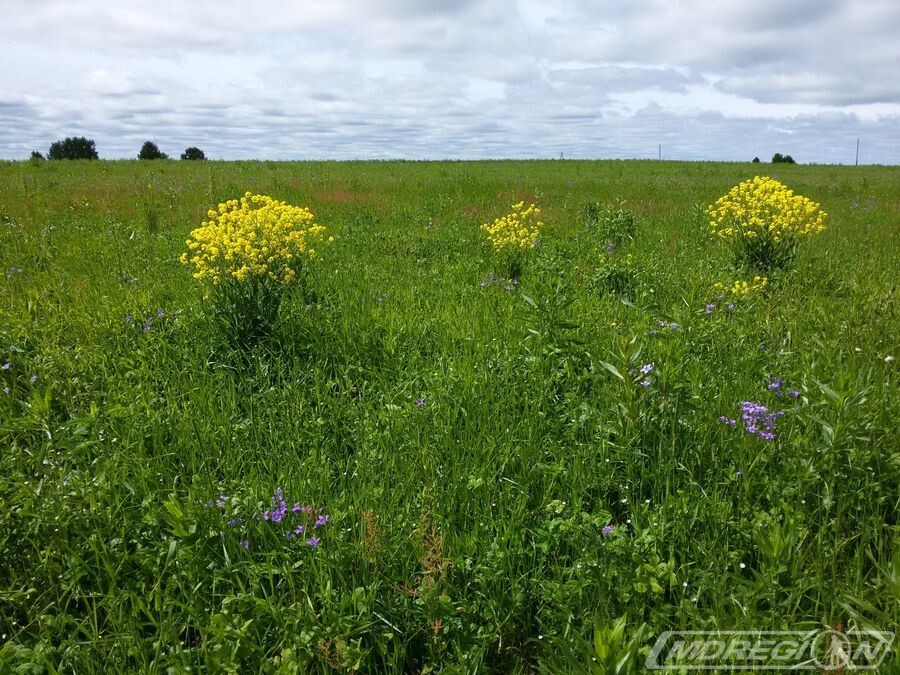 Фото mdregion.ru