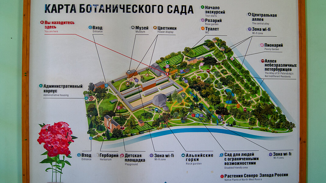 Ботанический сад ул профессора попова 2 фото Ботанический сад Петра Великого в Санкт-Петербурге 4traveler Дзен