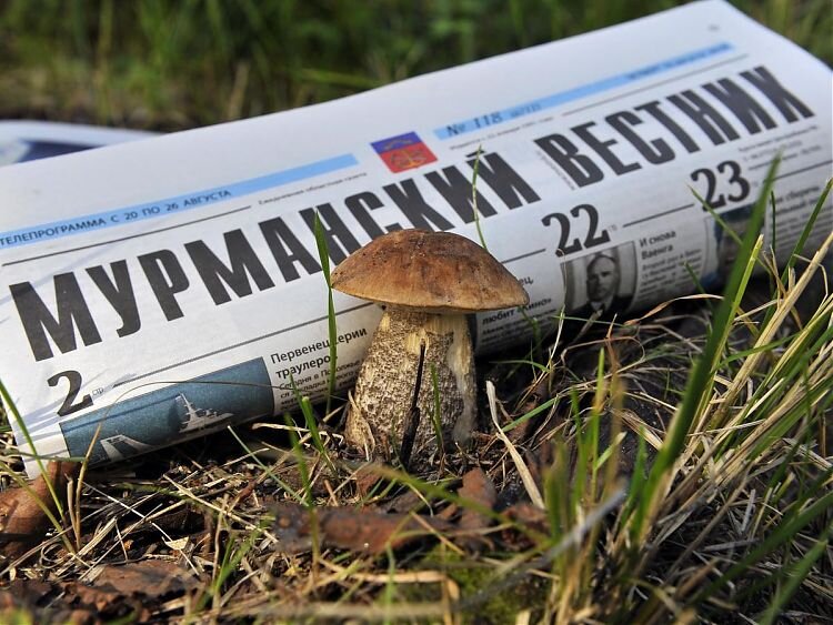 Фото: Лев Федосеев  