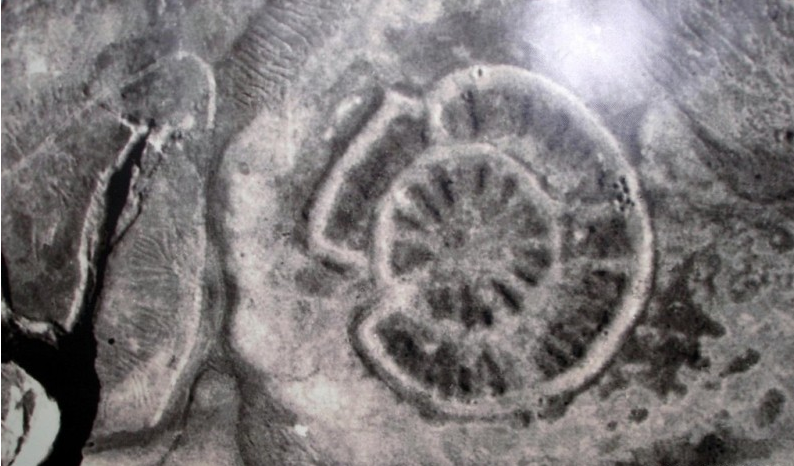 (Аркаим - аэросъемка)