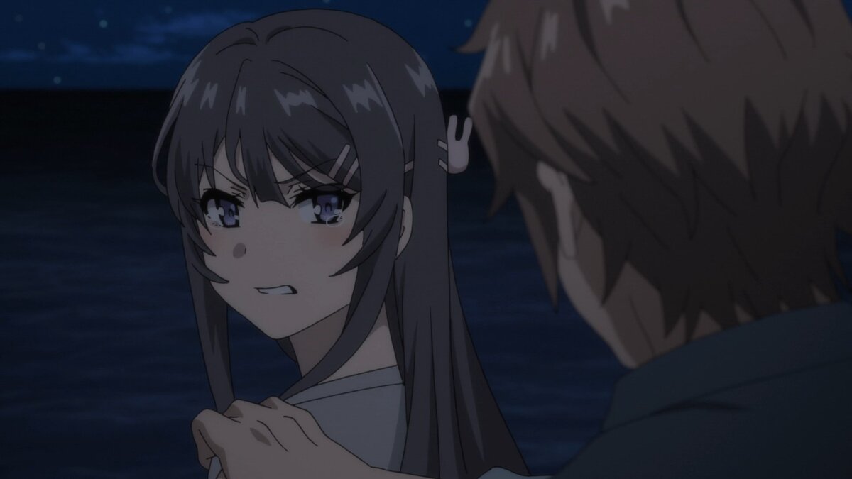 Seishun Buta Yarou wa Bunny Girl Senpai no Yume wo Minai 10 | аниме с  оленем | Дзен