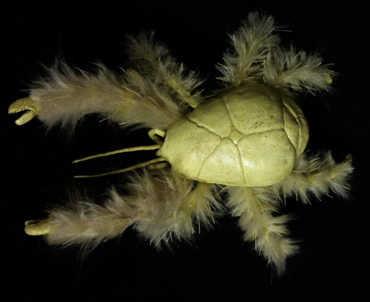 Завели бы вместо котика?