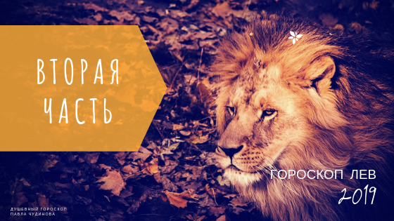 Подробный гороскоп на весь 2019 год для знака Лев. Душевный гороскоп Павла Чудинова