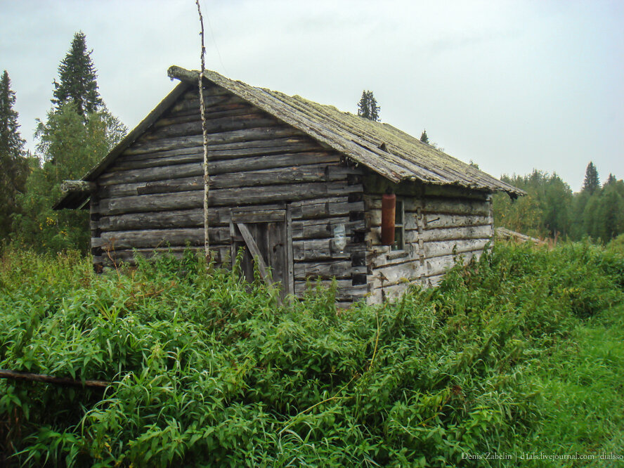 Охотничьи избы Новгородская область