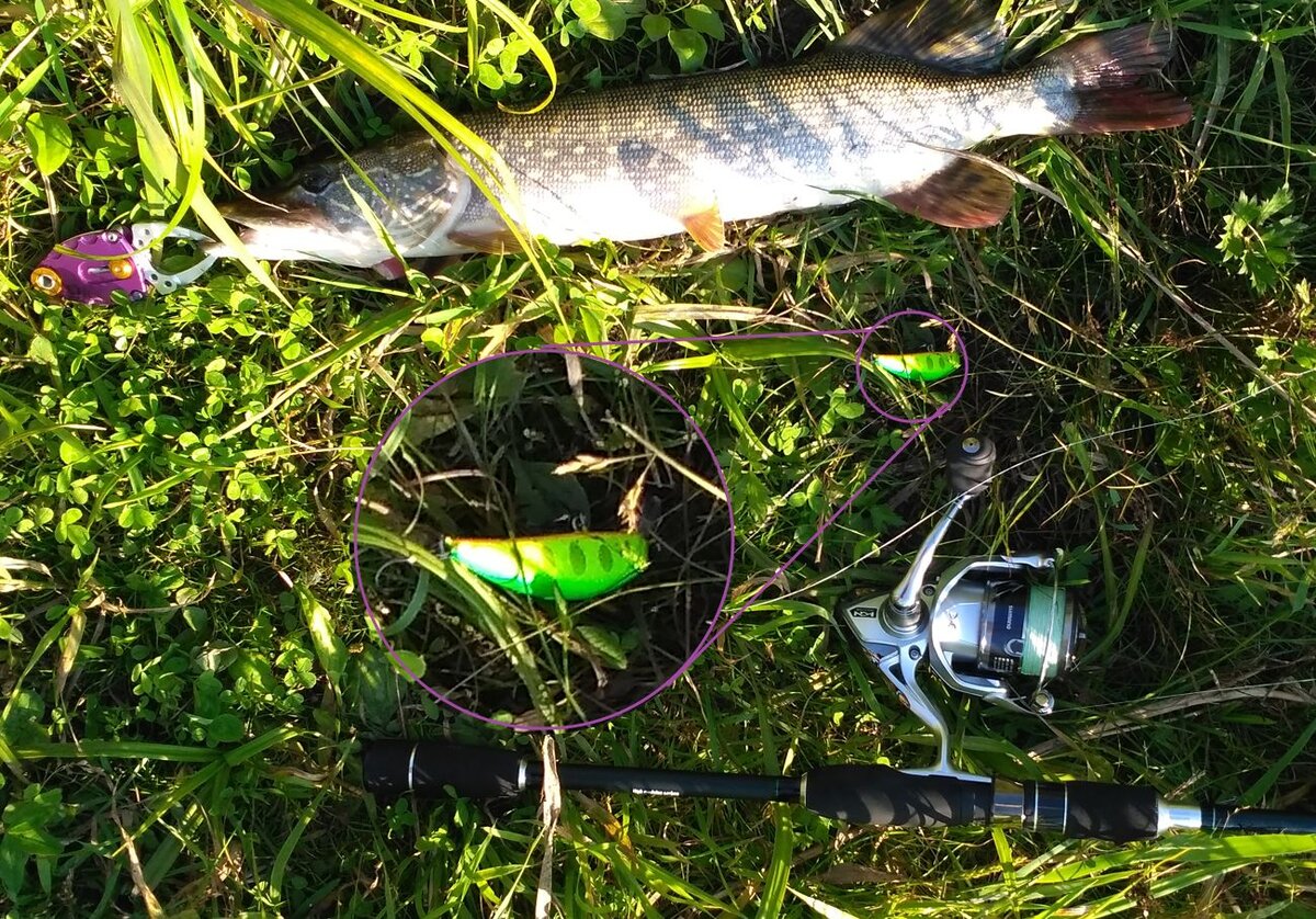 Aiko Torr "на работе".