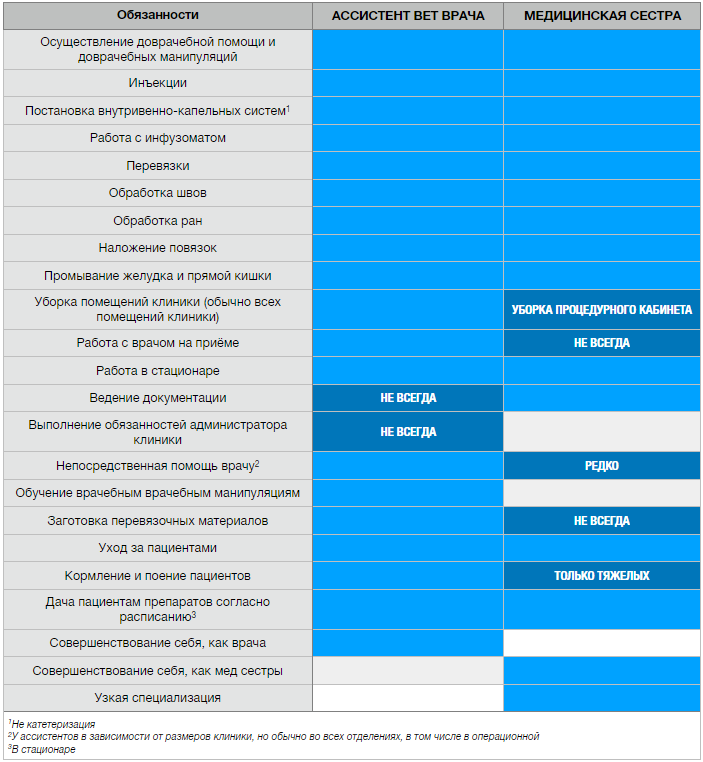 Работа ассистентом ветеринарного врача. Обязанности ветеринарного ассистента. Обязанности ассистента ветврача. Должностные обязанности ассистента ветеринарного врача. Должностные обязанности ассистента ветеринарного врача в клинике.