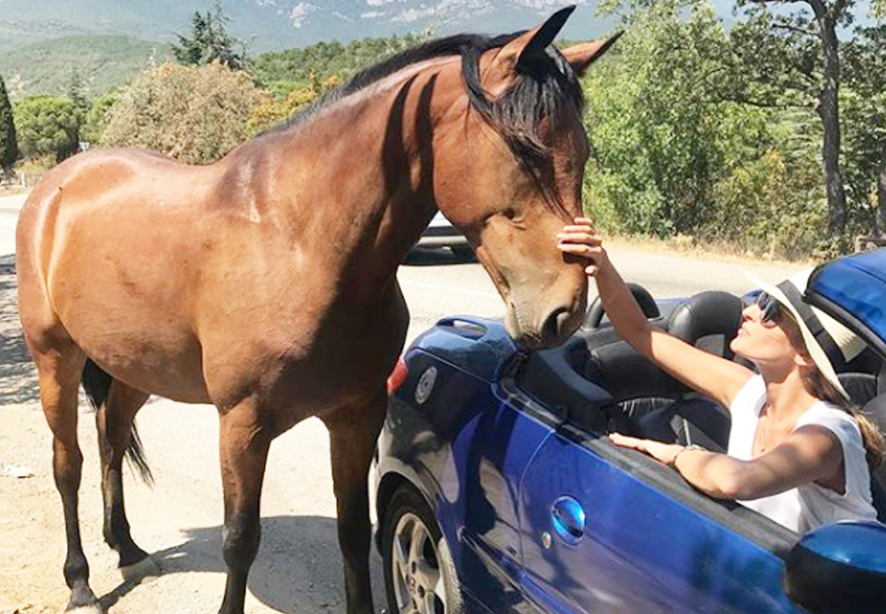 София Каштанова instagram.com