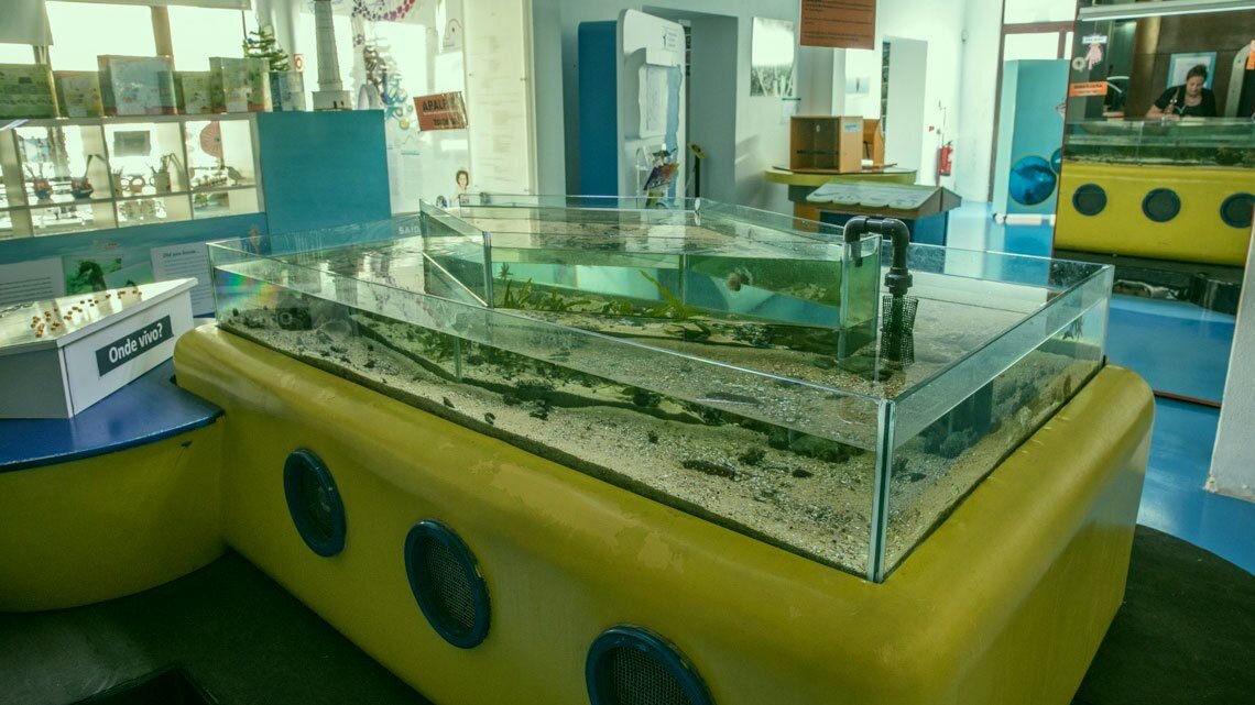 Центр естественных наук в Алгарве