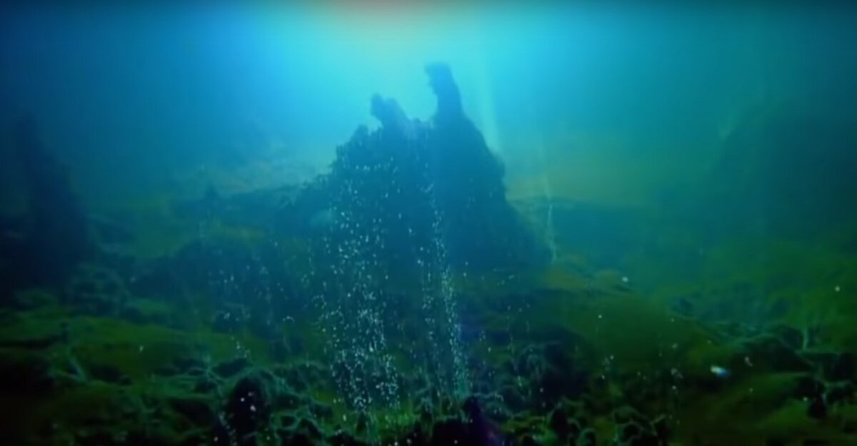 На небольших глубинах можно рассмотреть местную флору и фауну