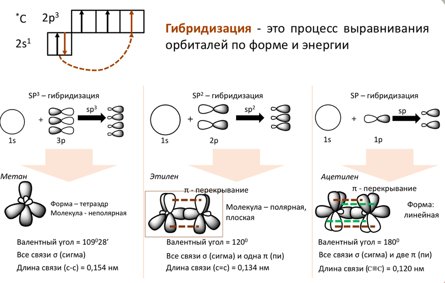 Формальдегид гибридизация. Гибридизация орбиталей в органической химии. Органическая химия гибридизация орбиталей таблица. Sp3 гибридизация органических соединений. Типы гибридизации атома углерода в органических соединениях
