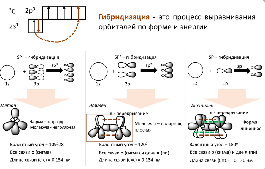 Используя рисунок объясните почему элемент углерод в органических соединениях образует четыре связи