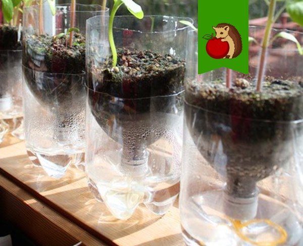 Фото: http://rem-stroitelstvo.ru/wp-content/uploads/2016/04/podelplast11.jpg