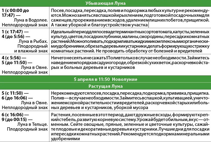 — Календарь помогает определить наилучшее время для посева, посадки и  полива растений, обрезки и прививки, пасынкования, сбора и закладки на хранение урожая, — продолжает аграрий. — Но есть еще условия: надо учитывать погоду, особенности почвы региона и специфику сортов.