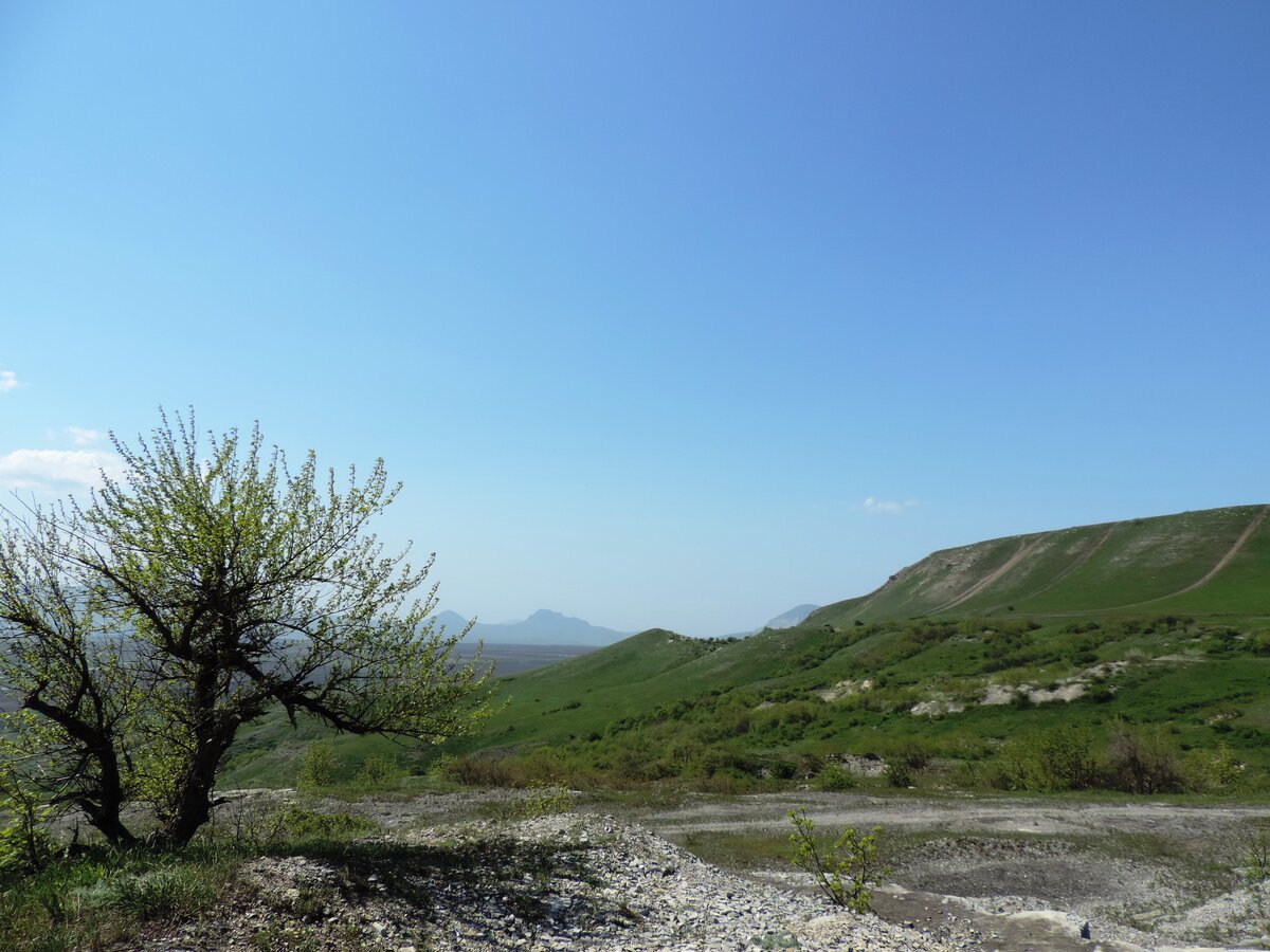 лысая гора в саратове