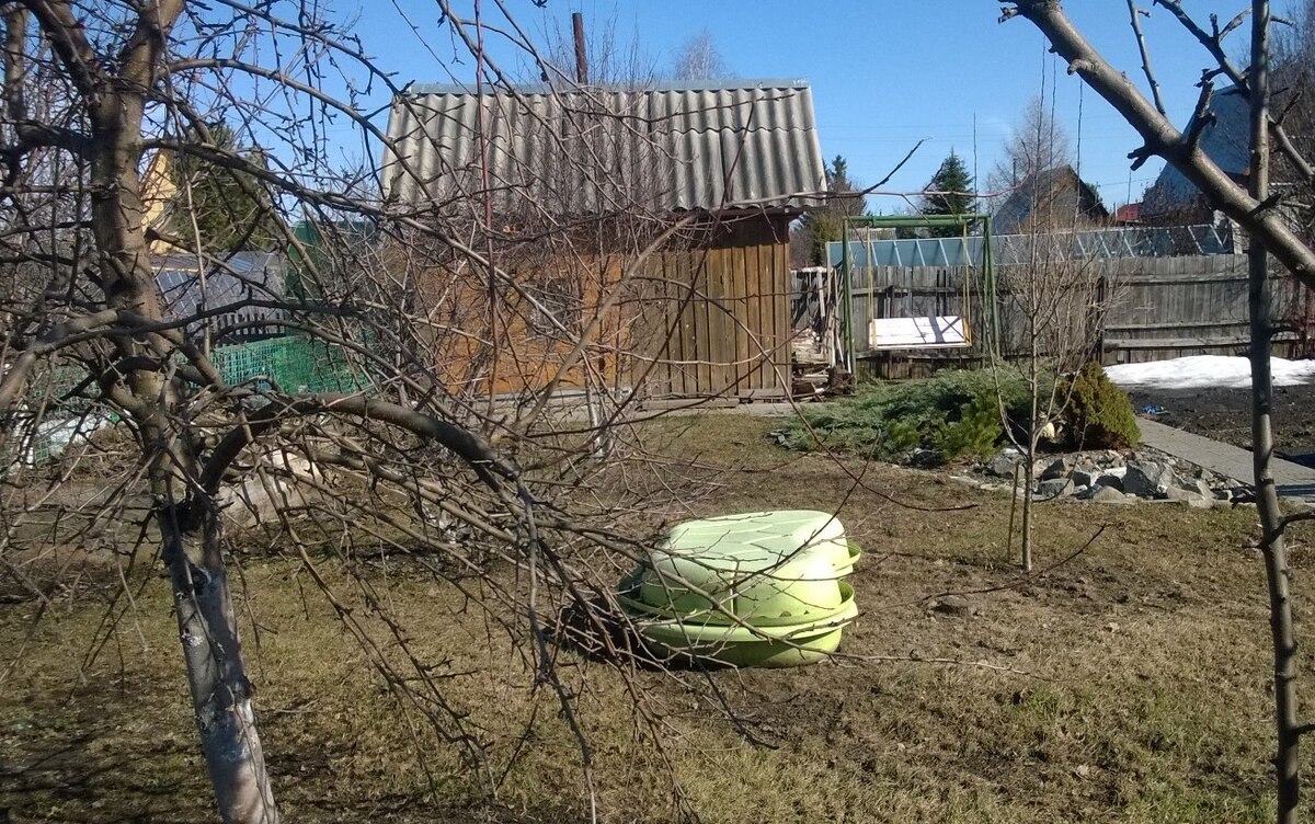 Выгребла газон