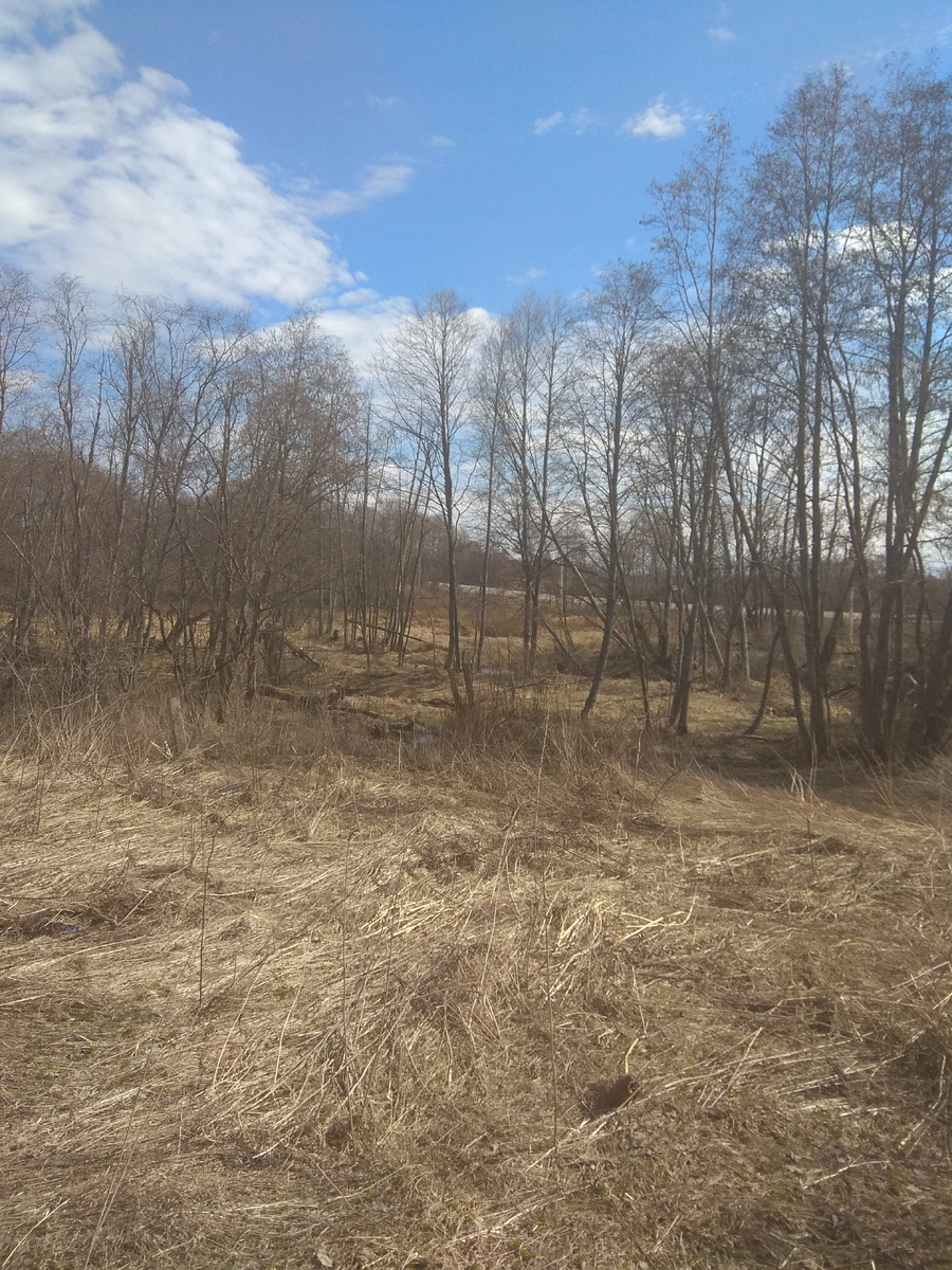 фото моё. очень "живописно"