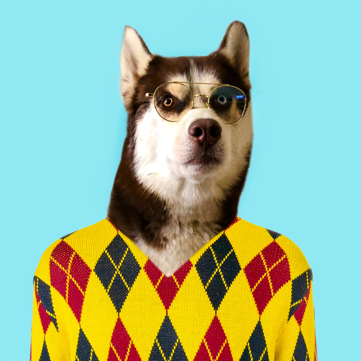 У собак есть лишь один недостаток-они верят людям. (С) Элиан Дж. Финберт