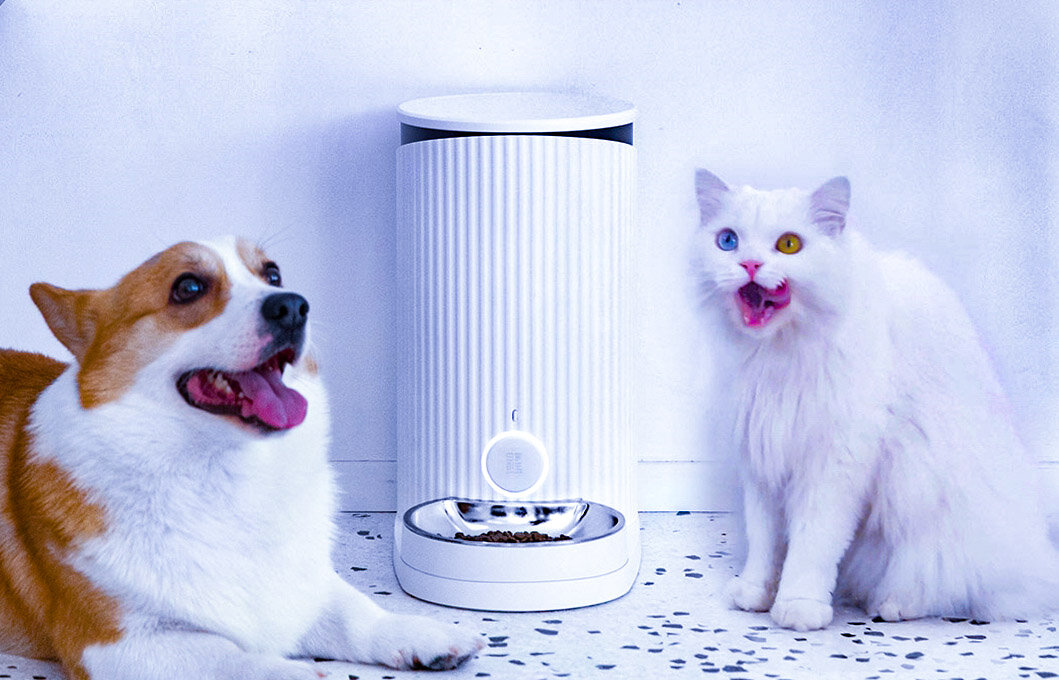 Интеллектуальная кормушка для животных