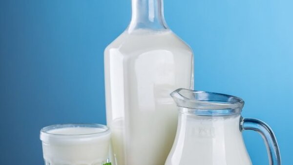 Молоко при диабете и ожирении: чудо-средство или обман?