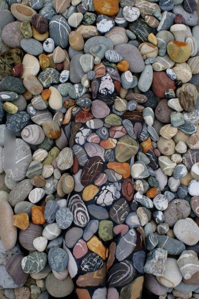 По моему тут нет никого...