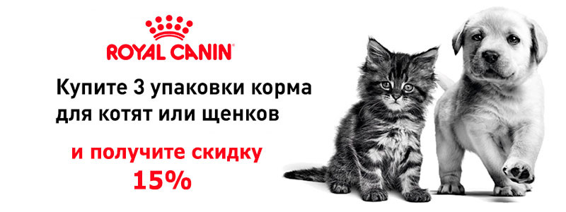 Корма участвующие в акции:Роял Канин Киттен 10 кг
Роял Канин Киттен Британская короткошерстная 10 кг
Роял Канин Киттен Мейн кун 4 кг
Роял Канин Мазер энд Бэбикет  4 кг
Роял Канин МЕДИУМ Паппи 15 кг
Роял Канин МЕДИУМ Паппи 4 кг
Роял Канин МЕДИУМ Стартер 4 кг
Роял Канин МАКСИ Стартер 4 кг
Роял Канин МАКСИ Стартер 15 кг
Роял Канин МАКСИ Юниор 4 кг
Роял Канин МАКСИ паппи  15 кг
Роял Канин МАКСИ Паппи Актив 15 кг
Роял Канин ДЖАЙНТ Стартер 15 кг
Роял Канин ДЖАЙНТ Паппи 15 кг
Роял Канин ДЖАЙНТ Паппи Актив 15 кг
Роял Канин Мини Стартер 8,5 кг
Роял Канин Мини Паппи 4 кг
Роял Канин Мини Паппи 8 кг
Роял Канин ДЖАЙНТ Стартер 4 кг
Роял Канин ДЖАЙНТ Стартер 15кг
Роял Канин Джайнт Паппи  3,5 кг 
Подробнее: https://animalpark.by/15-na-korma-royal-canin-04062019.html 