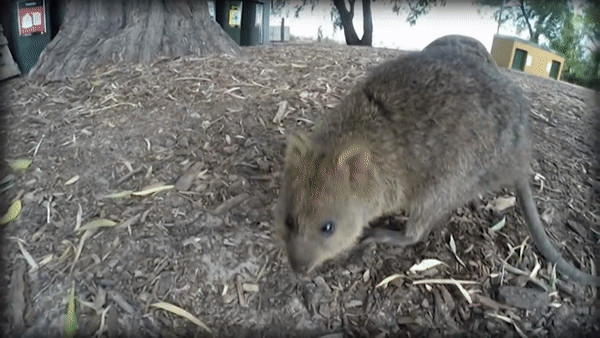 Снова фоткаешь? 