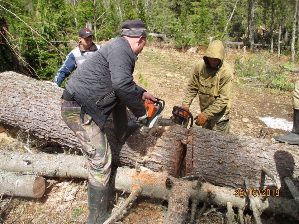 Волонтёры расчистили трассу марафона «Конжак» от поваленных ураганом деревьев
