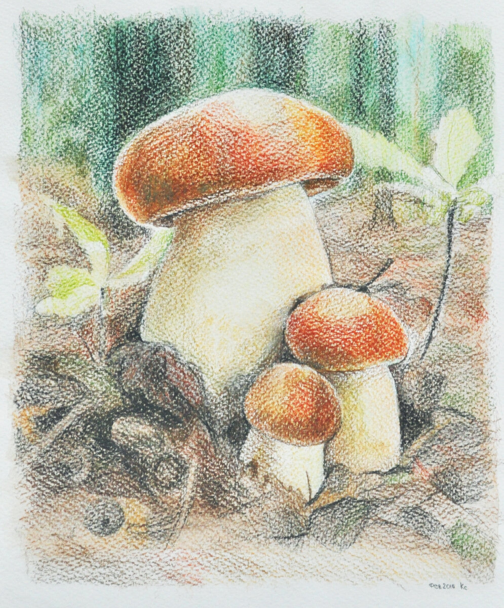 грибы пастель