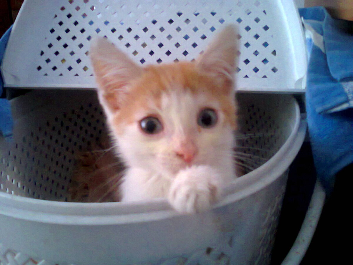 Мы проснулись...)   Фото из личного архива автора.